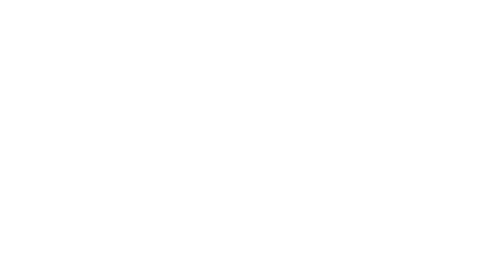 Lorem Media Logo